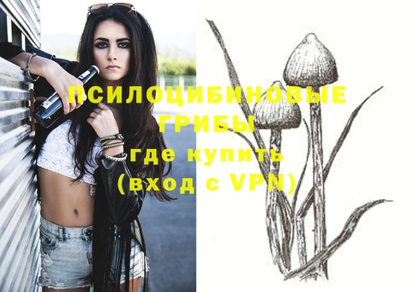 jwh Аркадак