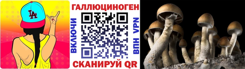 наркошоп  Ноябрьск  Псилоцибиновые грибы Cubensis 