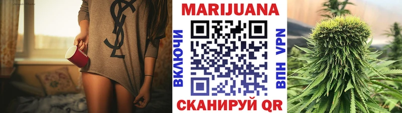 Конопля гибрид Ноябрьск